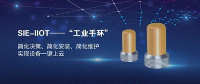 賽意信息攜工業(yè)互聯(lián)網(wǎng)示范線亮相工業(yè)互聯(lián)網(wǎng)峰會(huì)，以數(shù)字化力量助推中國智造升級(jí)轉(zhuǎn)型